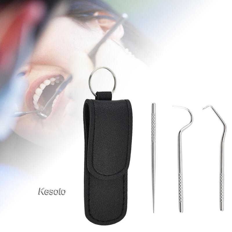 Toothpicks Pocket Set Reusable with Holder Metal Toothpicks | Shopee ...