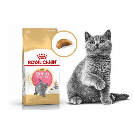 Royal canin kitten british shorthair 2kg sale