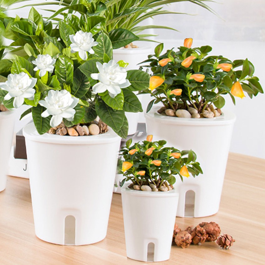 Pasu Bunga Plastik / Flowers Pot - Pasu Bunga Coklat Bercorak Cantik