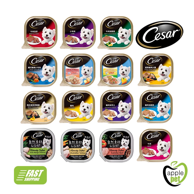 Cesar Can Wet Dog Food 100g | Shopee Malaysia