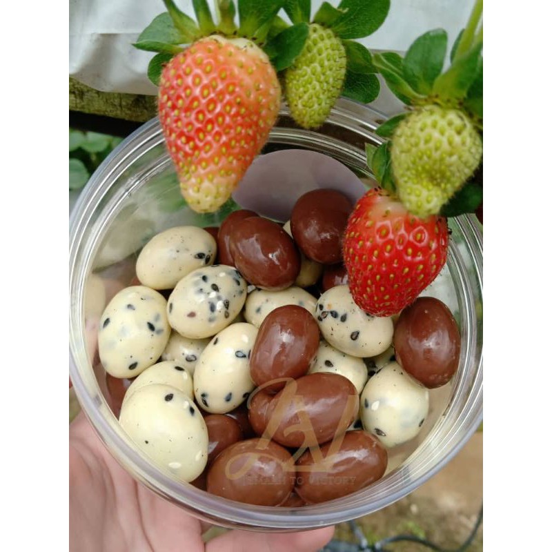 💥Classic Assorted Choc Chocodaps Viral 300G💥 | Shopee Malaysia