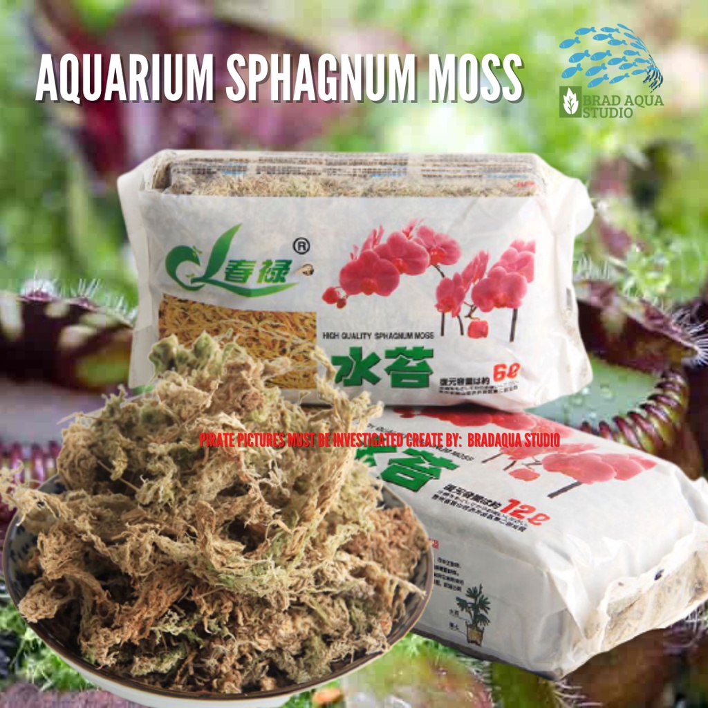 AQUARIUM Sphagnum Moss High Quality, Long Strand Sphagnum Moss Dry
