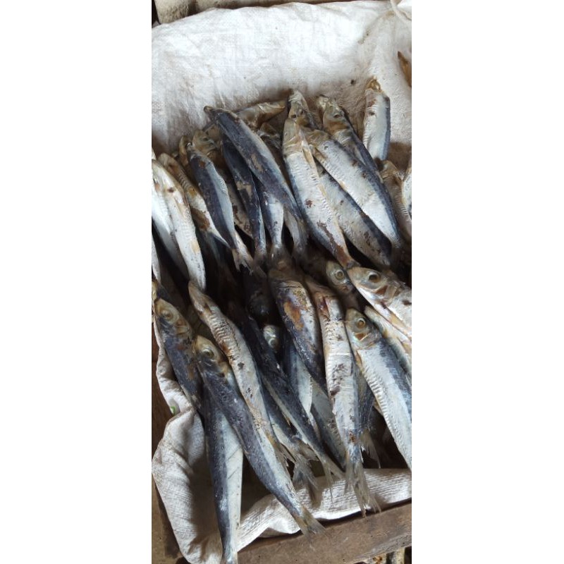 Salted Noni Fish 1KG | Shopee Malaysia