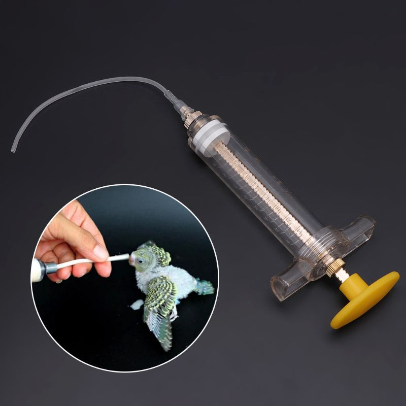 Bird hot sale feeding syringe