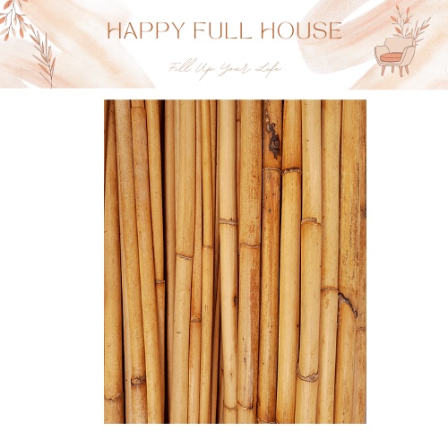 🔥Ready stock🔥75cm Rotan Kanak Kanak Rottan stick 藤鞭藤条 Titicane Natural ...