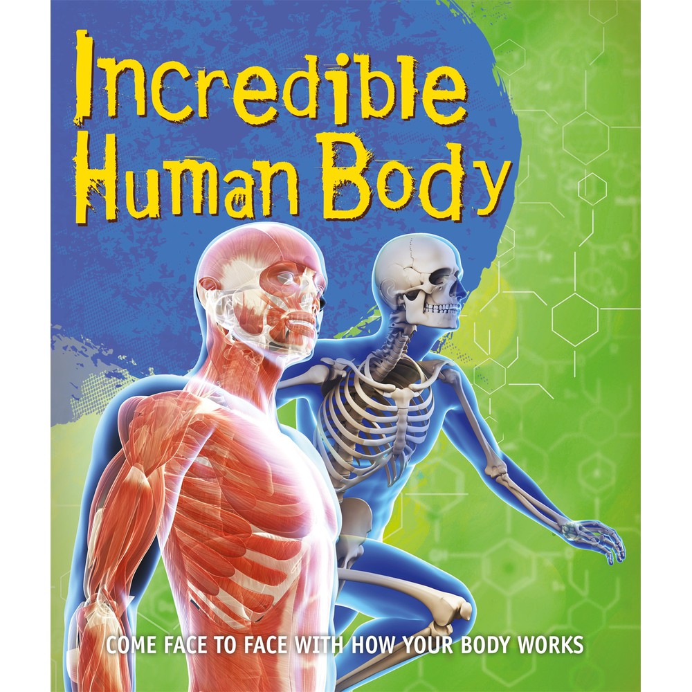 (BBW) Fast Facts: Incredible Human Body (ISBN: 9780753473023) | Shopee ...