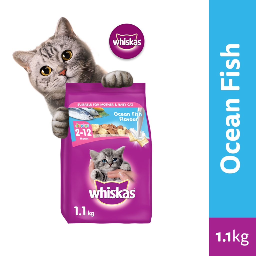 Whiskas milk for kittens sale