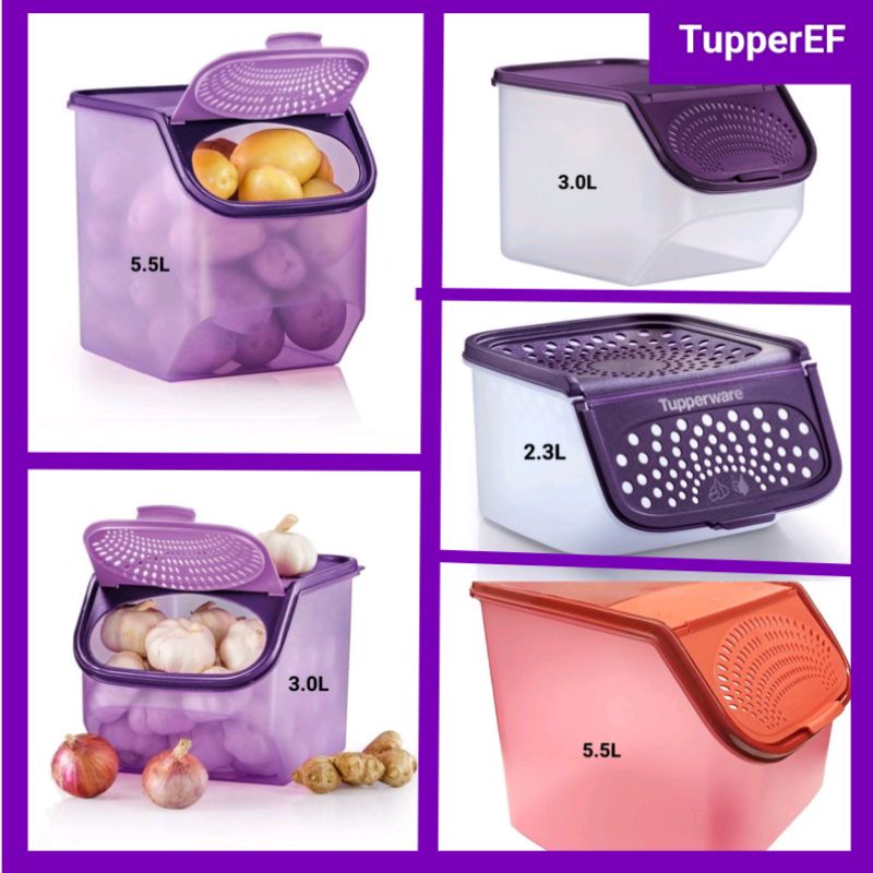 6 Jenis: Tupperware Garlic Keeper 3L Medium/ 5.5L Large/ 2.3L