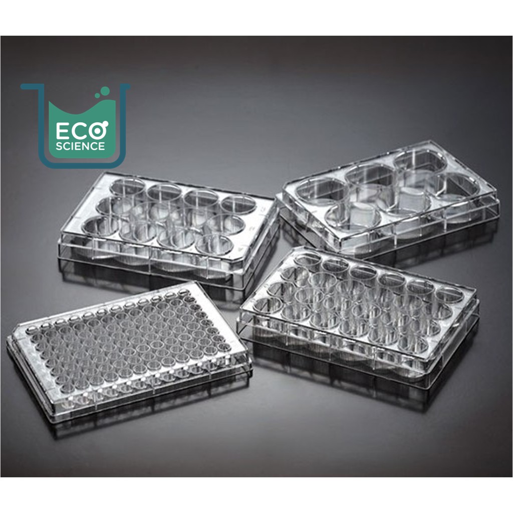 Microplate Tissue Culture Plate with Lid, Sterile, 6/12/24/48/96well