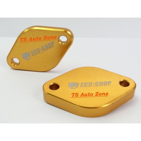 [ READY STOCK ] ECU SHOP EGR STOPPER VALVE BLANKING BLOCK PLATE FOR