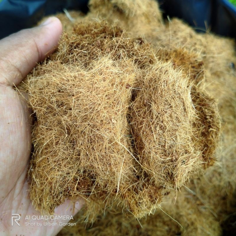 Coconut Fibre / Sabut Kelapa Fiber / Coir / Gentian Sabut Kelapa ...