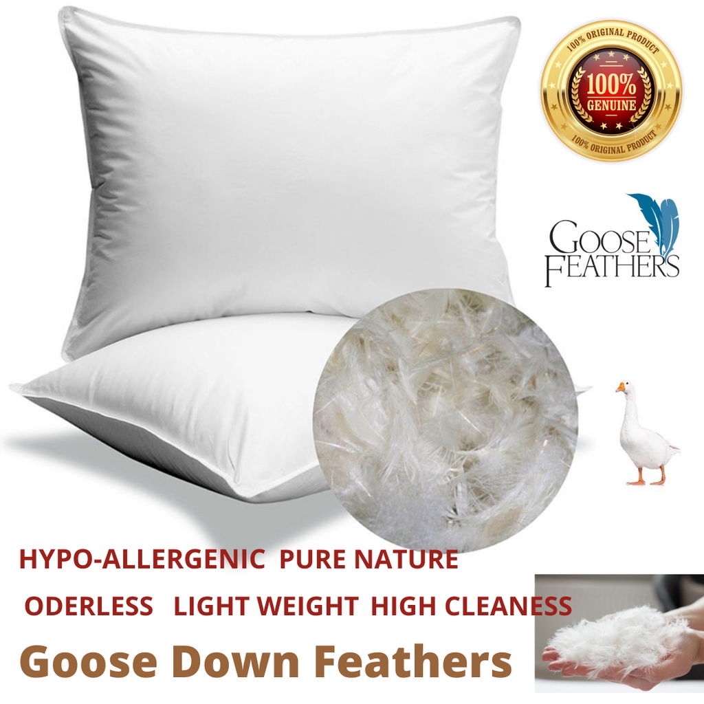 Goose down and goose feather clearance pillows