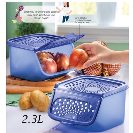 Tupperware Garlic N All Keeper Or Pcs L New Blue Color