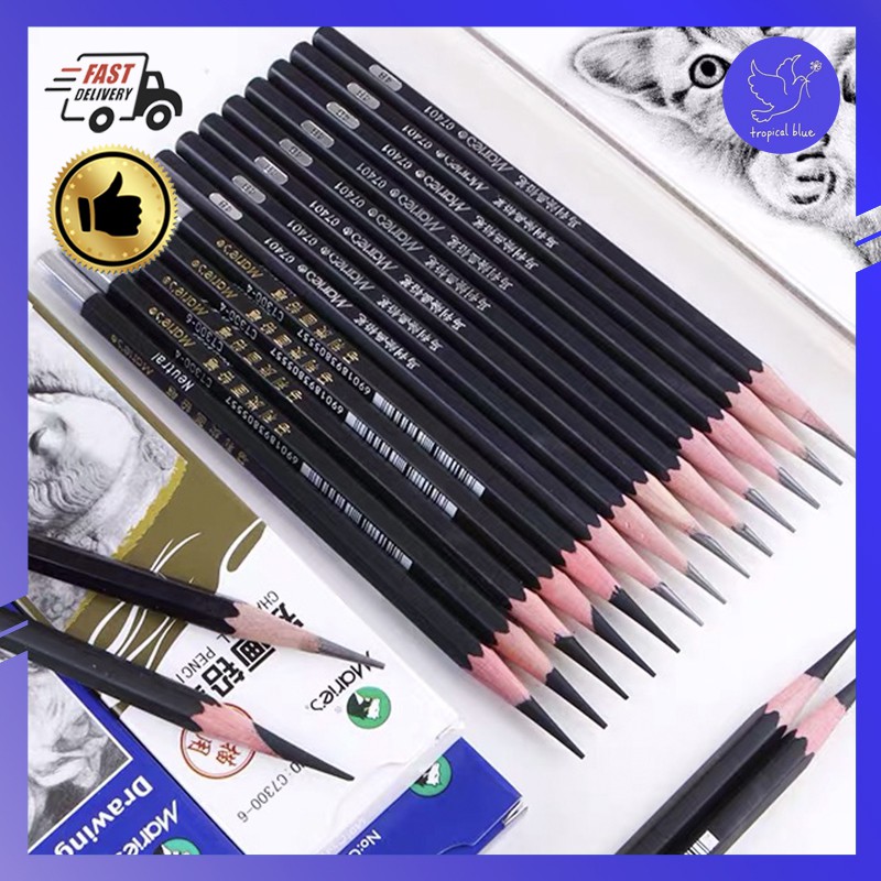 Marie's 12 Pcs Sketching Drawing Pencils with Box Set for Artists