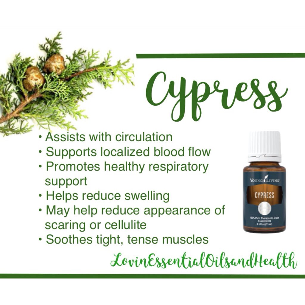 Cypress young living hotsell