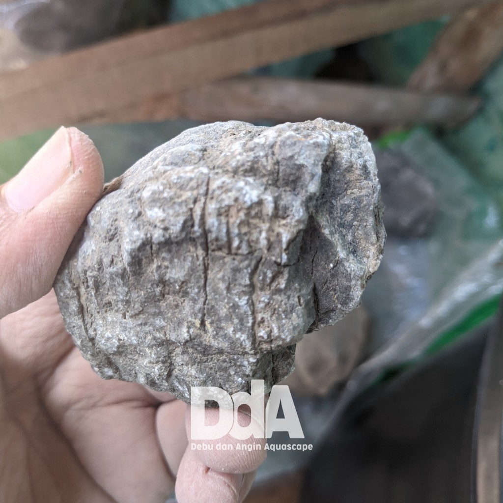 Turly Stone/Aquascape Stone/Dust And Wind Aquascape | Shopee Malaysia