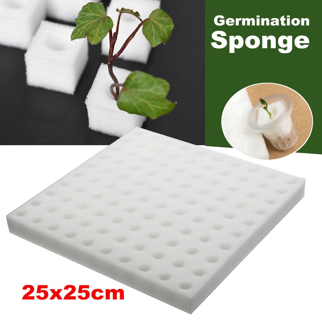 Germination Sponge 🌱100 Cubes🌱 for Hydroponic Aquaponic 🍒Premium ...