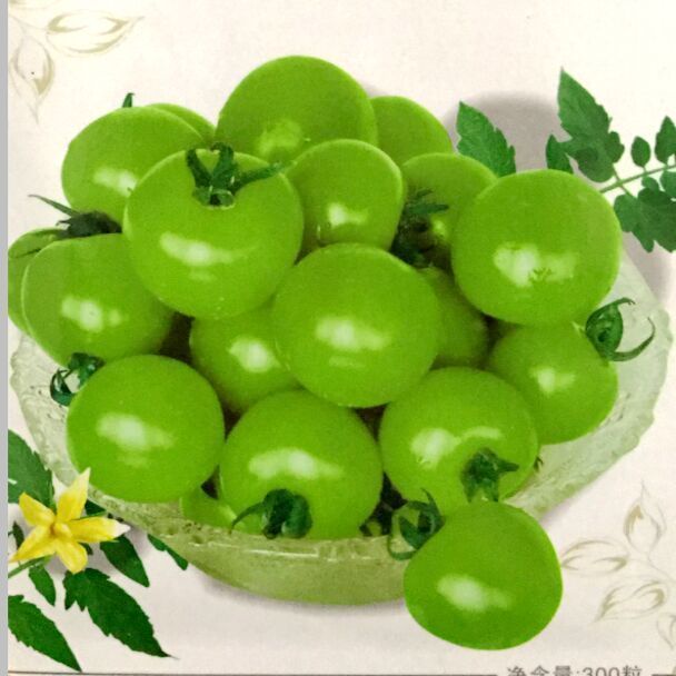 【Fresh seed】 Cherry tomatoes new colorful waterfall tomato seeds spring ...