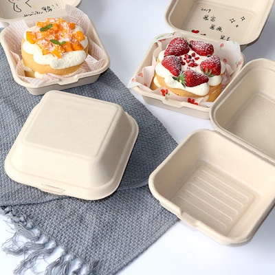 10PCS Disposable Bento Lunch Box Baking Cake Food Containers