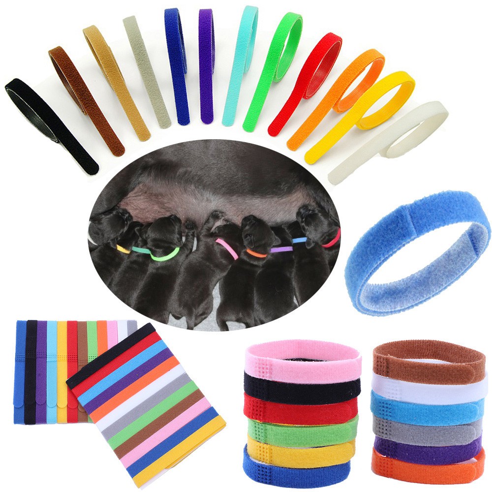 Low Price 12 Colors Identification ID Collars Bands Whelp Puppy Kitten Dog Pet Cat Velvet Practical Puppy ID Collar c Shopee Malaysia