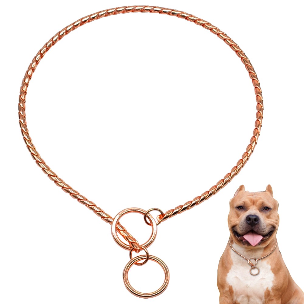 Check on sale chain dog