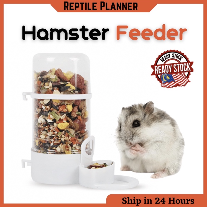 Small Animal Hamster Automatic Feeder Hamster Food bowl dispenser bird ...