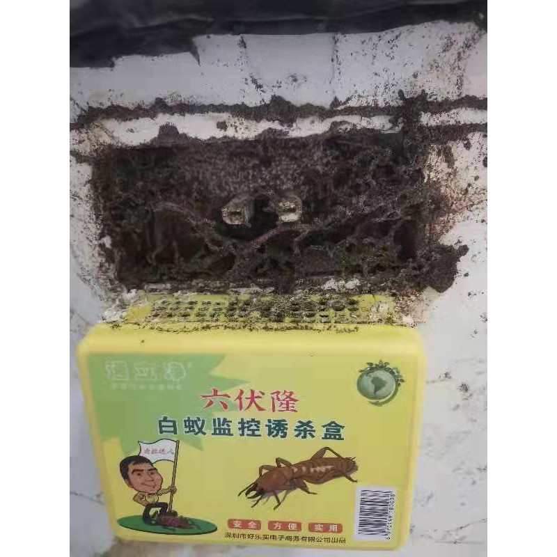 【Clearance】Termite bait station Original Termites DIY Colony ...