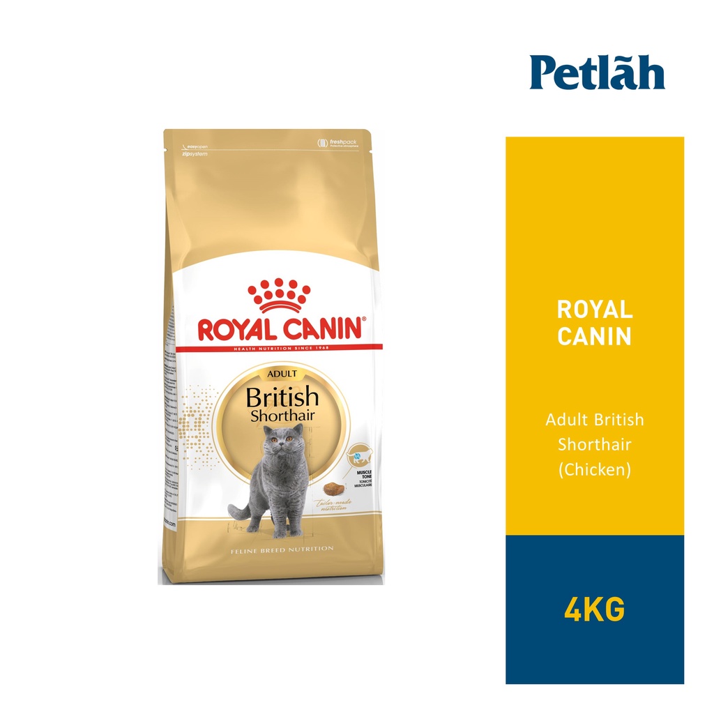 Royal canin british shorthair hot sale 4kg