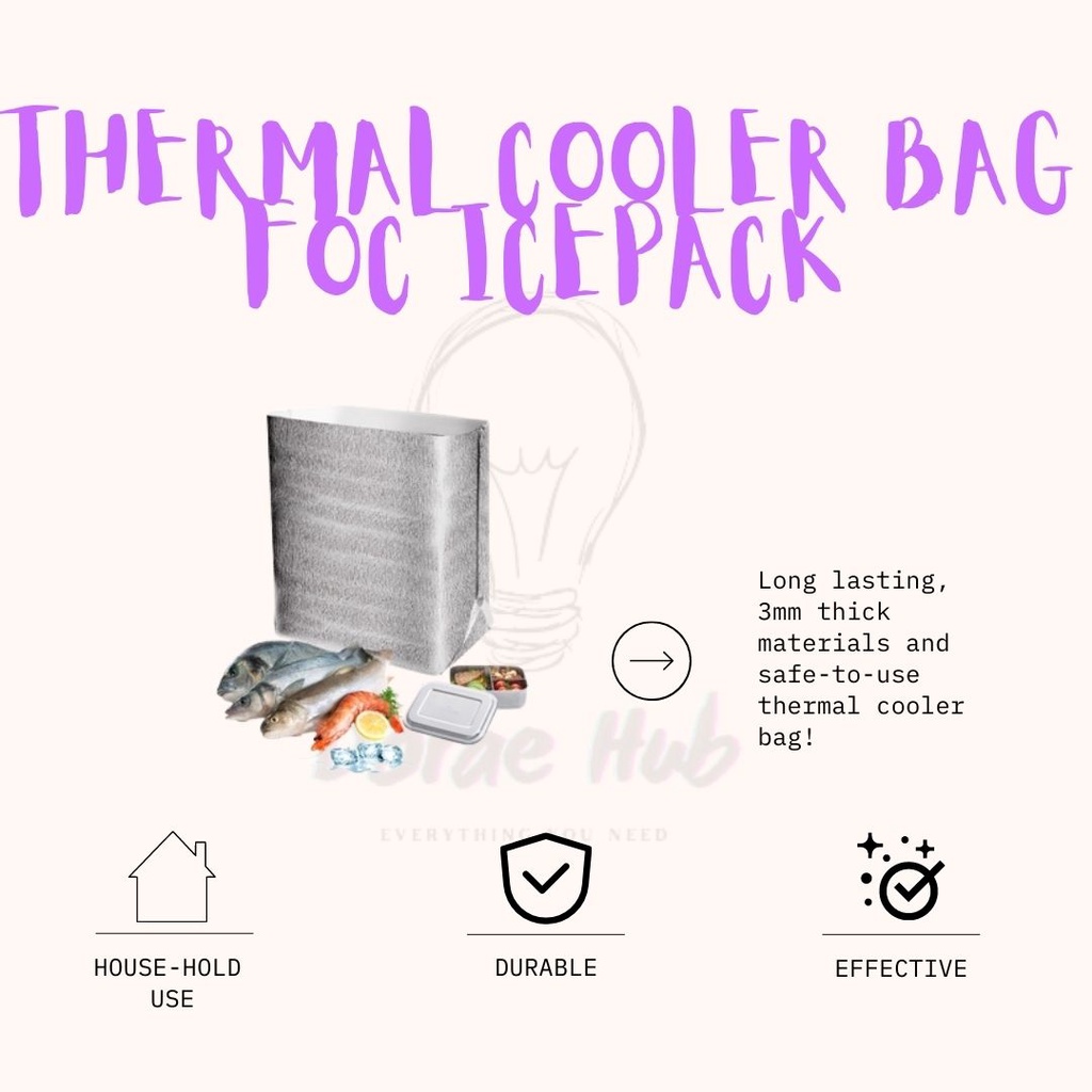 Thermal Cooler Bag Frozen Food Ice Bag Free Ice Pack Shopee Malaysia