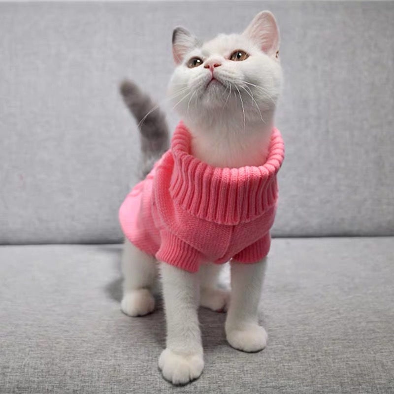 Cute kitten outlet clothes