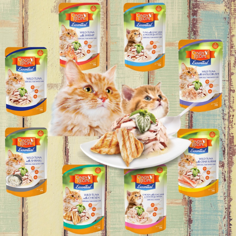 Cindy's Recipe Essential Wet Cat Food Pouch 70G (8 Flavours) | Shopee ...