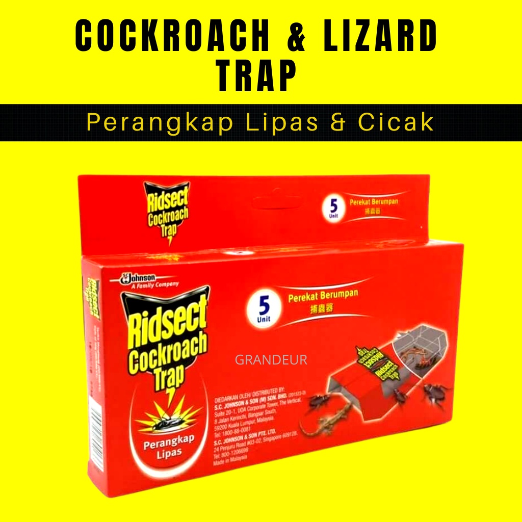 Perangkap cicak lipas Cockroach Lizard Trap Glue Stick insect trap killer  抓蟑螂 壁虎 陷阱 蟑螂屋 昆虫