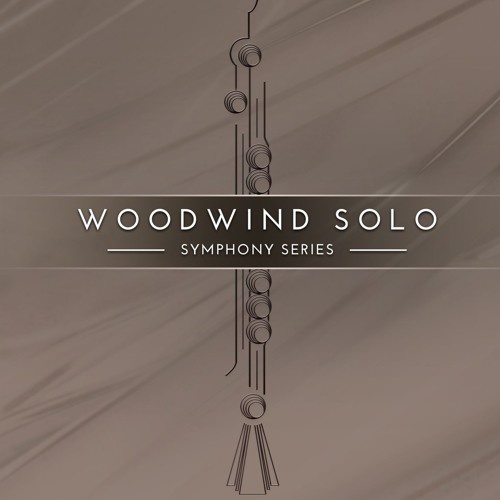 Woodwind Solo 🔰 Symphony Series (Win/Mac) *Kontakt Library* Shopee