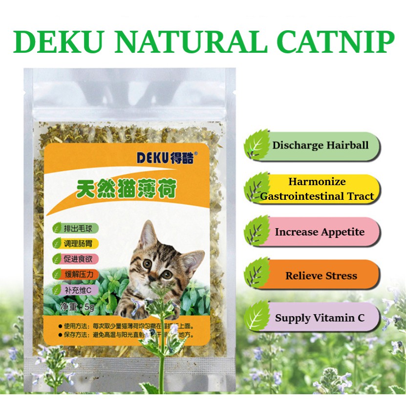 🔥Hot Deal🔥Premium Natural Catnip/Mint Powder Cat nip/ Pet Grass 5g ...