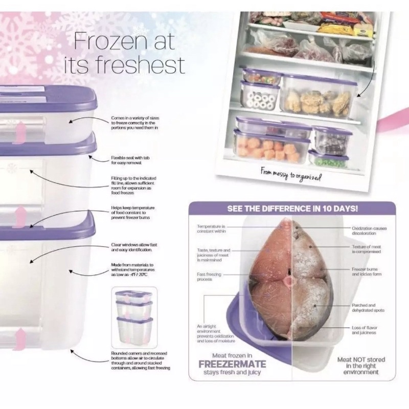 💥READY STOCK💥Tupperware My First FreezerMate set (cold storage freezer ...