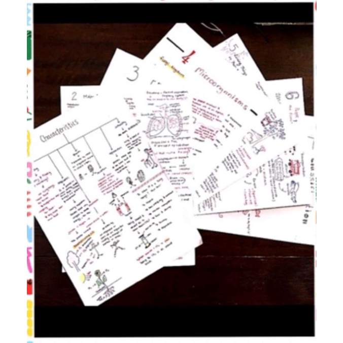  igcse notes igcse year 7 science notes biology soft copy shopee