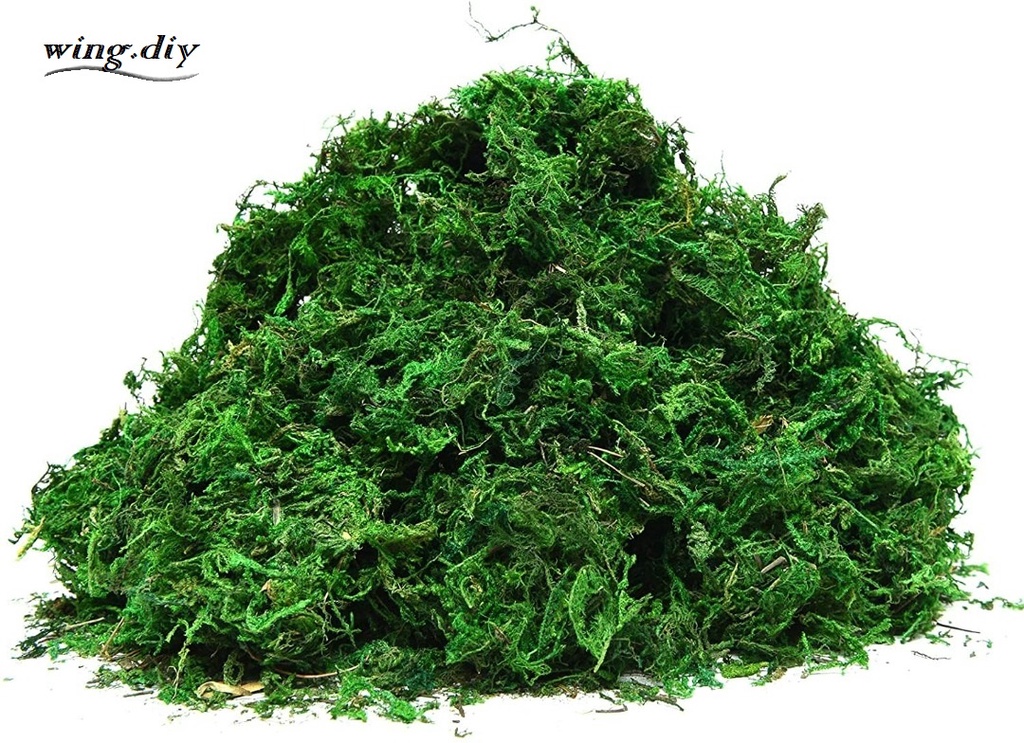 50G/100G ARTIFICIAL MOSS FOR PLANTERS FLOWER GARDEN LAWN CRAFTS WEDDING  DECORATION / FAKE MOSS FOR POTTED PLANTS FOREST