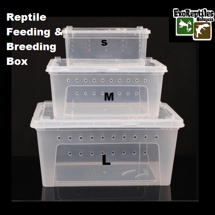 Herp Box-Reptile Feeding Box Breeding Hatching Container爬宠饲养盒 | Shopee ...