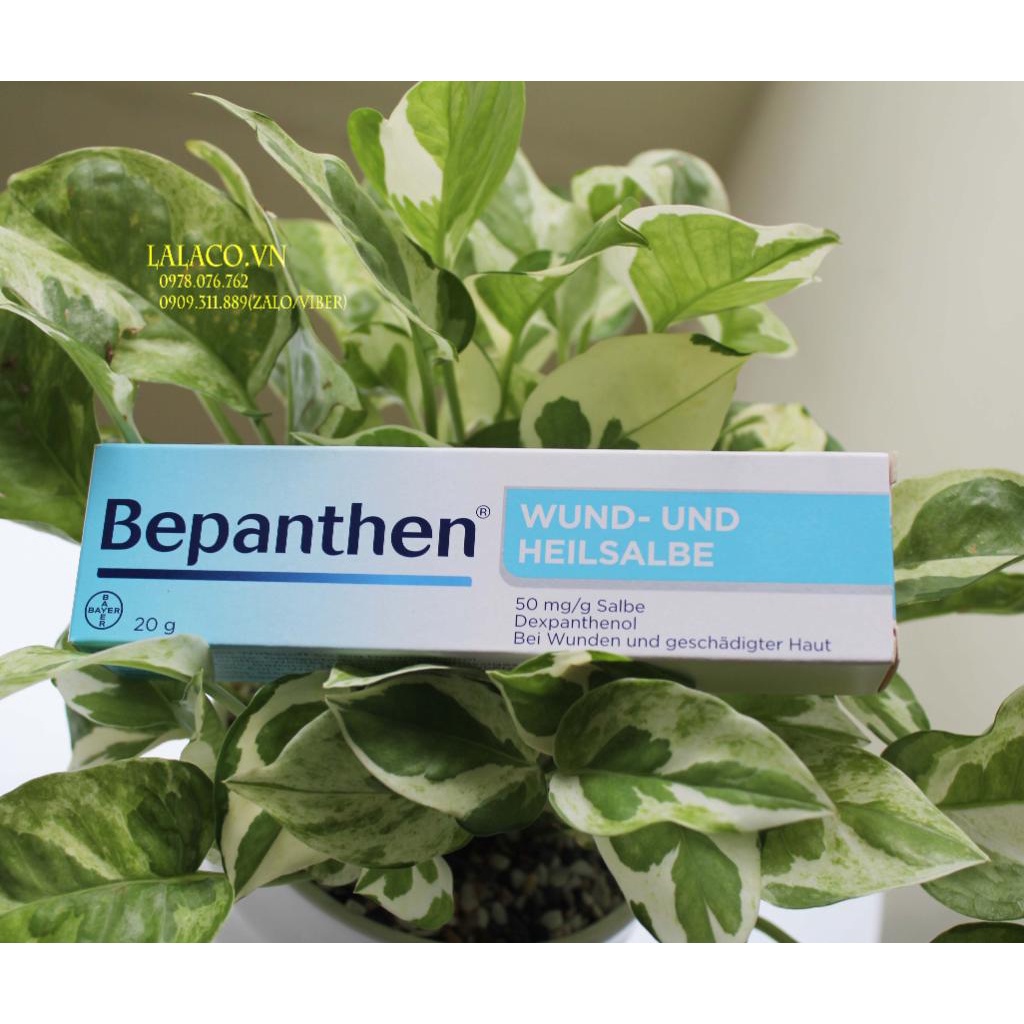 [Date 2023] Bepanthen Germany Diaper Rash Cream 20g Shopee Malaysia