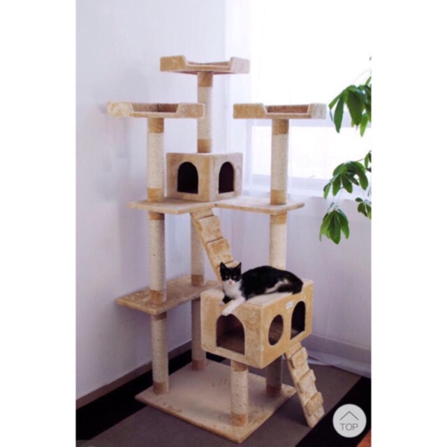 Shopee 2025 cat tree