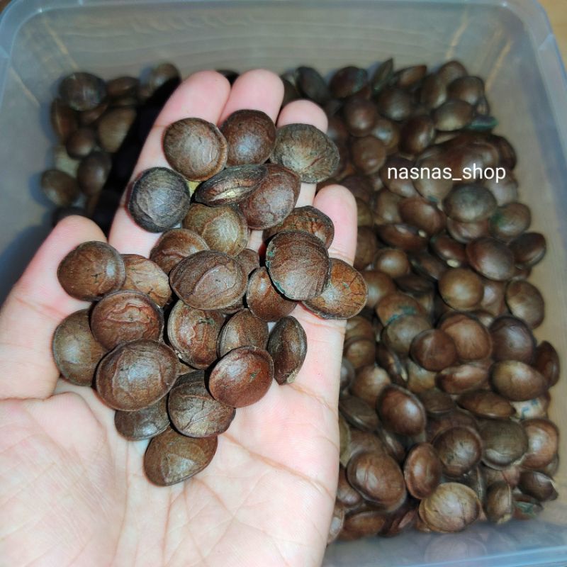 Sacha Inchi Seeds Raja Omega Vege 10pcs Biji Benih | Shopee Malaysia