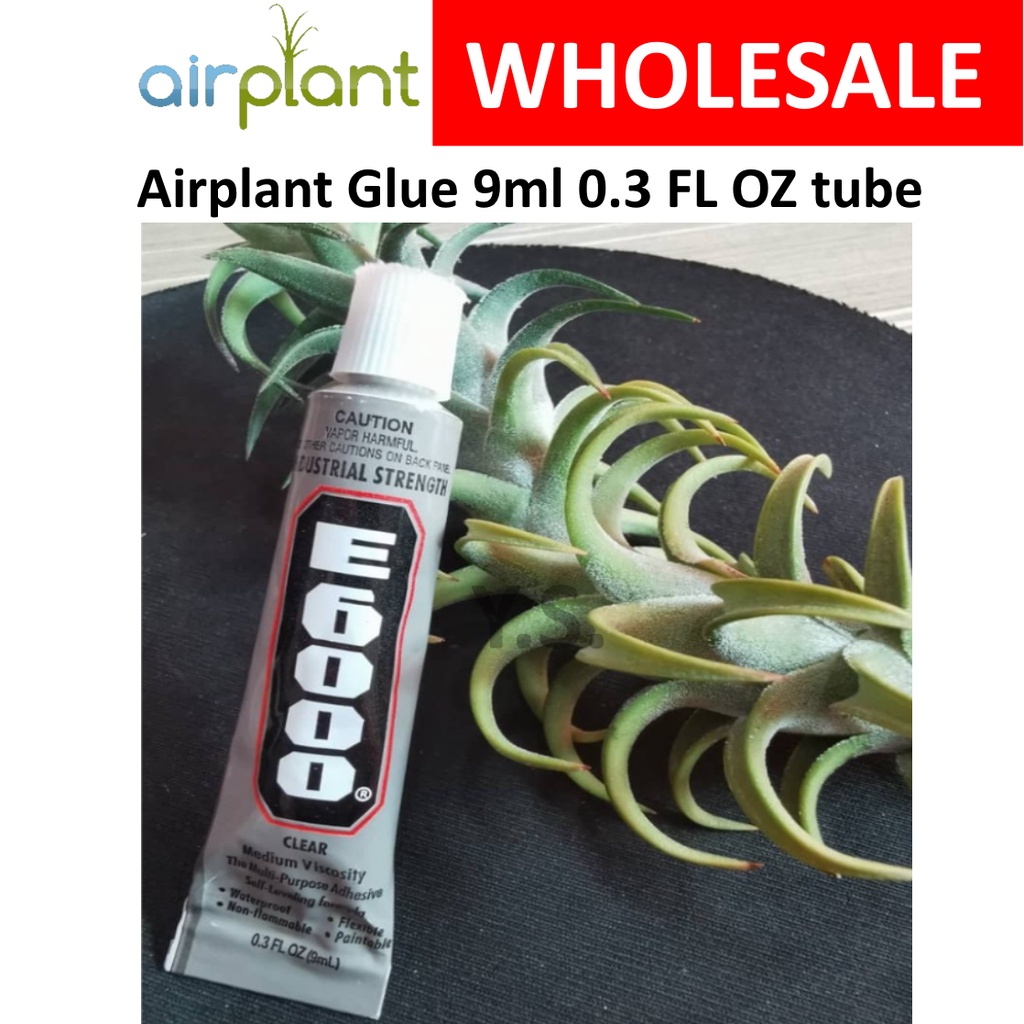 Airplant Glue tube and is suitable for mounting air plants onto drift