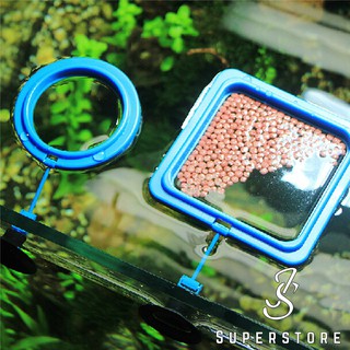 Fish Feeding Ring Aquarium Accessories Suction Cup Fish Food Station Suitable for Guppy Ikan Laga Hiasan Betta Shopee Malaysia