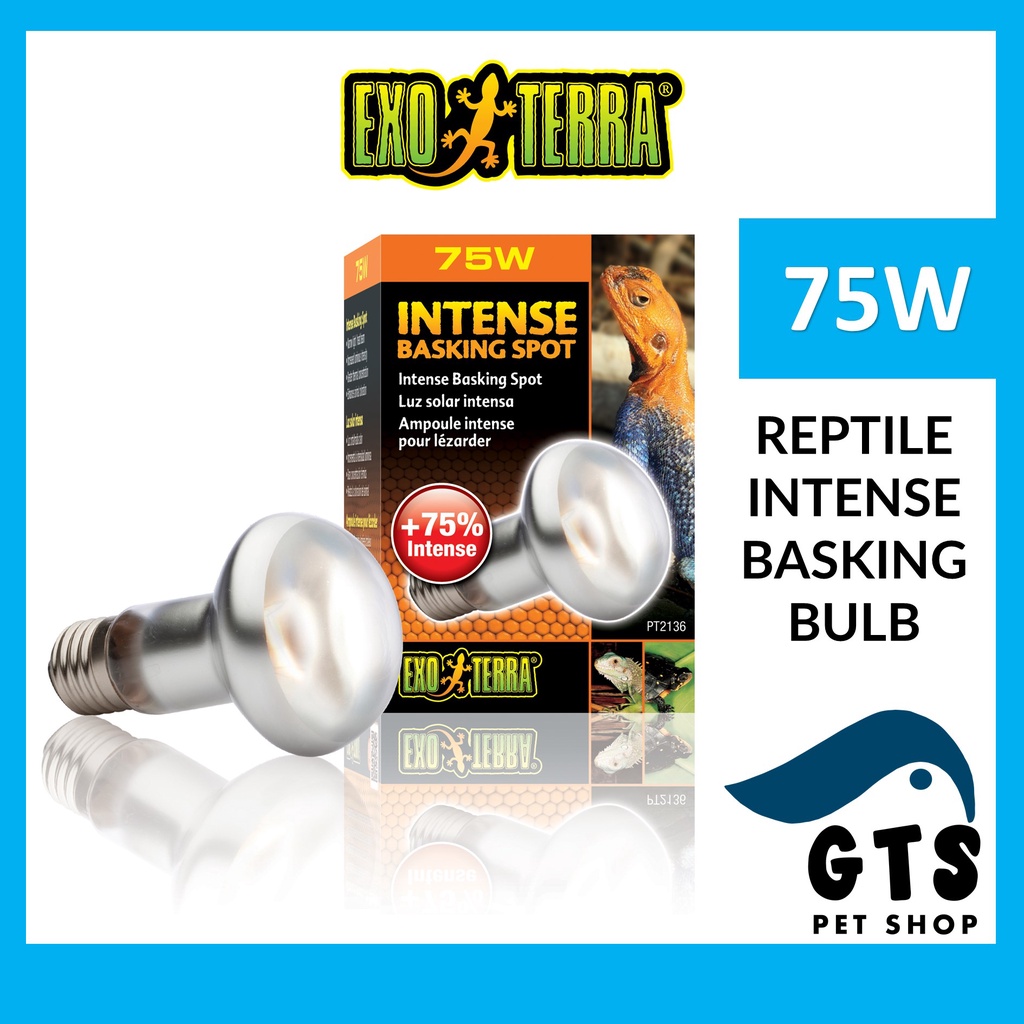 Reptile Heat Management For Basking Spot Reference: Exo Terra Intense Basking Light Bulb Spot Reptile Heat Lamp