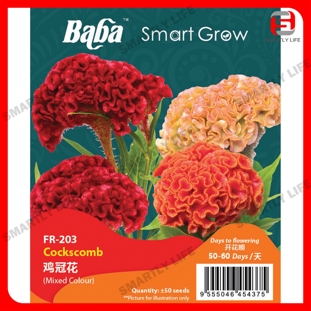 Baba Smart Grow Seed : Flower Seed Series 花 种子 Benih Bunga Non GMO ...