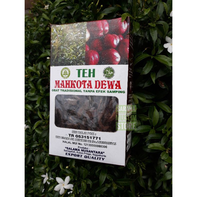 Mahkota Dewa Salama Nusantara Tea Many Benefits and Benefits | Shopee ...