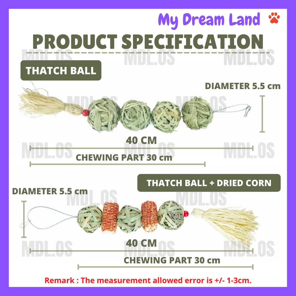 LOCAL DELIVERY-NATURAL THATCH BALL DRIED CORN HANGING STRING MOLAR TOY ...