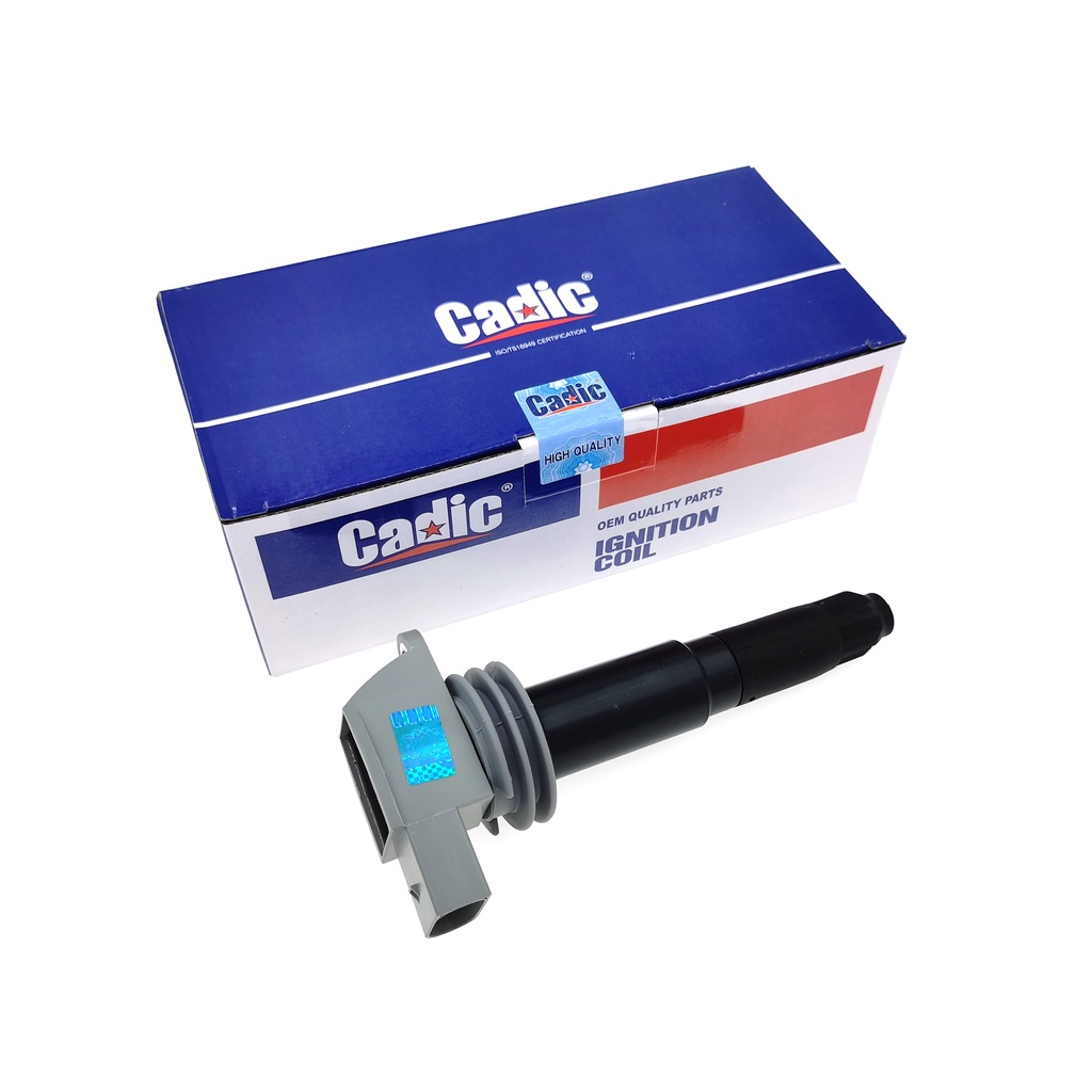 CADIC ORIGINAL PORSCHE CARRERA/CAYMAN 997,987,991,981 IGNITION PLUG ...