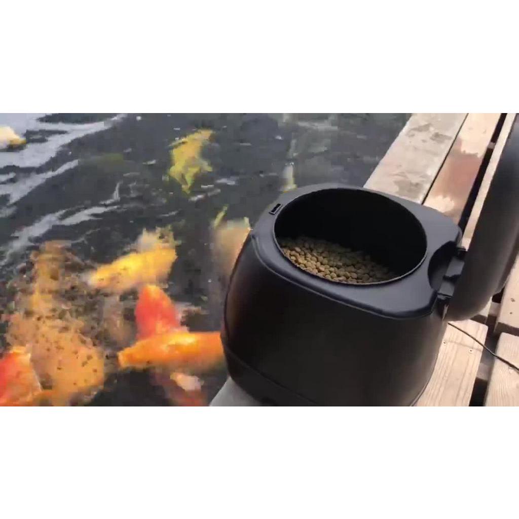 10L Large Capacity Automatic Waterproof Pond Fish Feeding Machine ...