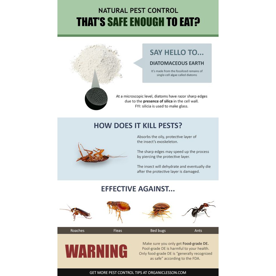 Safer Brand Diatomaceous Earth Bed Bug, Flea, Ant, Crawling, 46 OFF